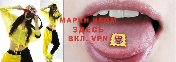 прущие грибы Осинники