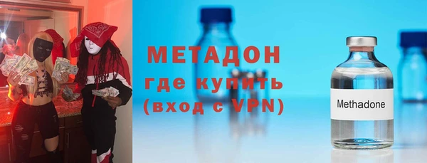 прущие грибы Осинники