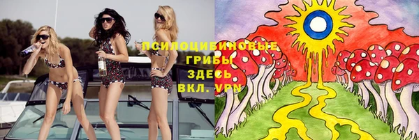 прущие грибы Осинники