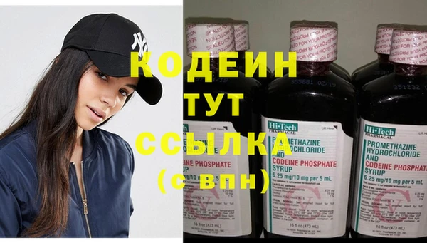 прущие грибы Осинники