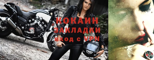 прущие грибы Осинники
