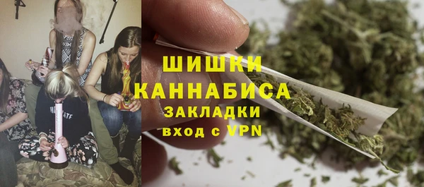 прущие грибы Осинники